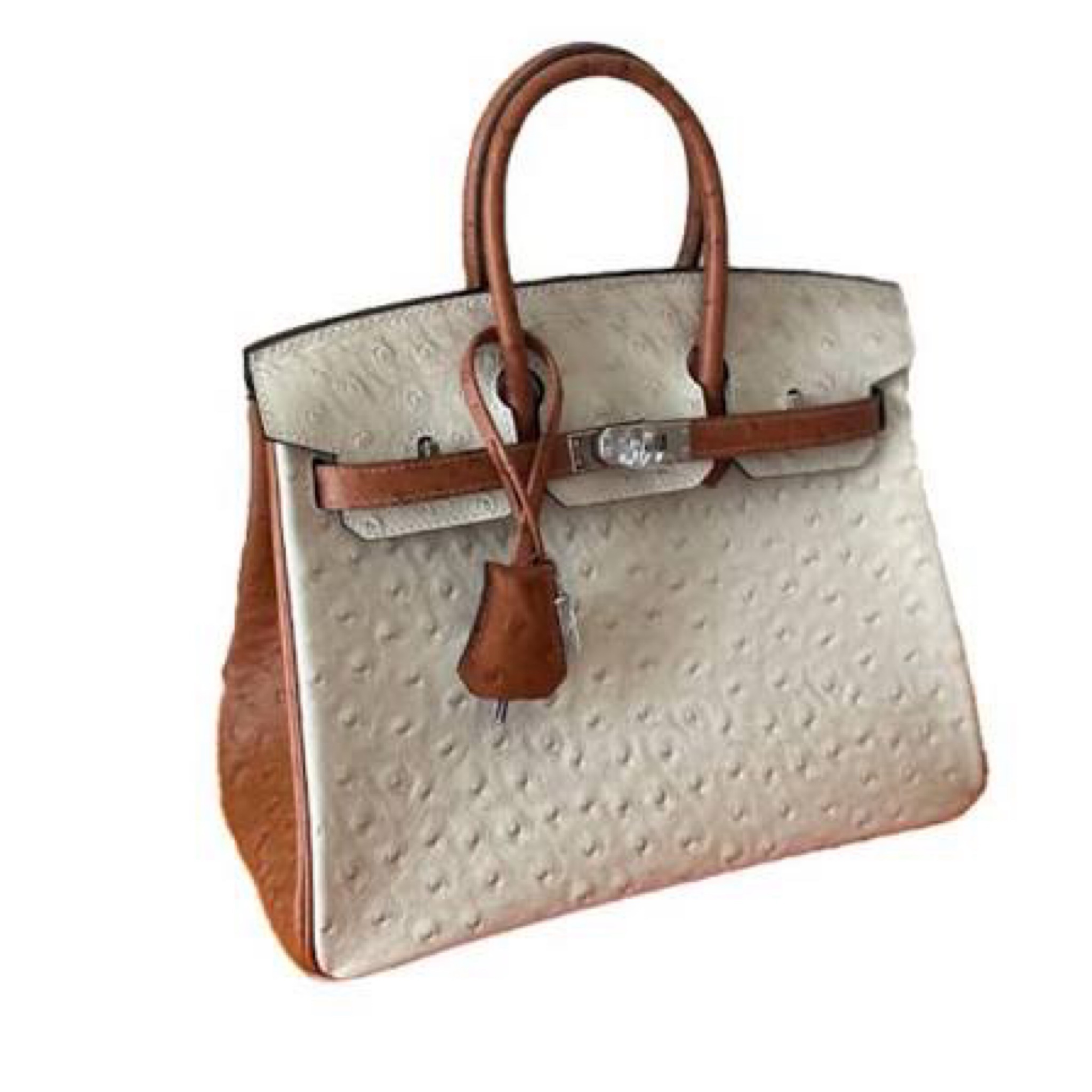 Hermes birkin bag
